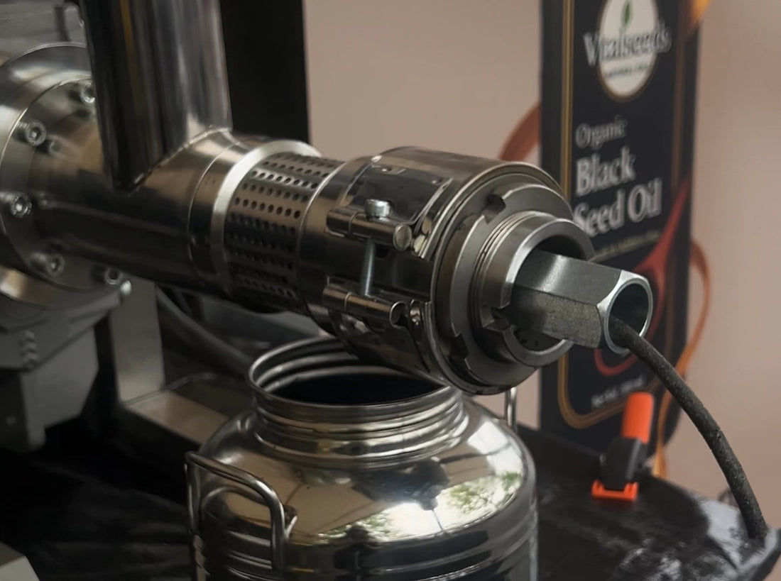 Koudgeperste Zwarte Zaadolie – 100% Puur & Vers Geperst bij Vitalseeds